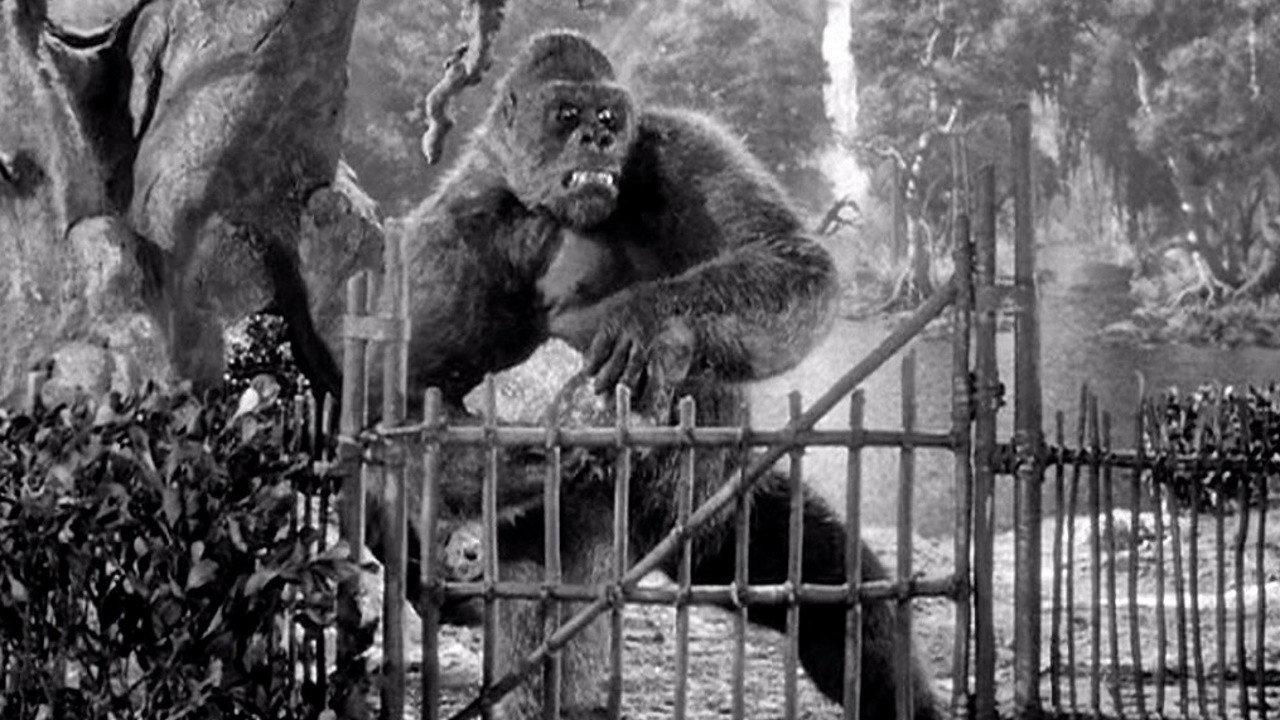 Mighty Joe Young 1949 movie scene