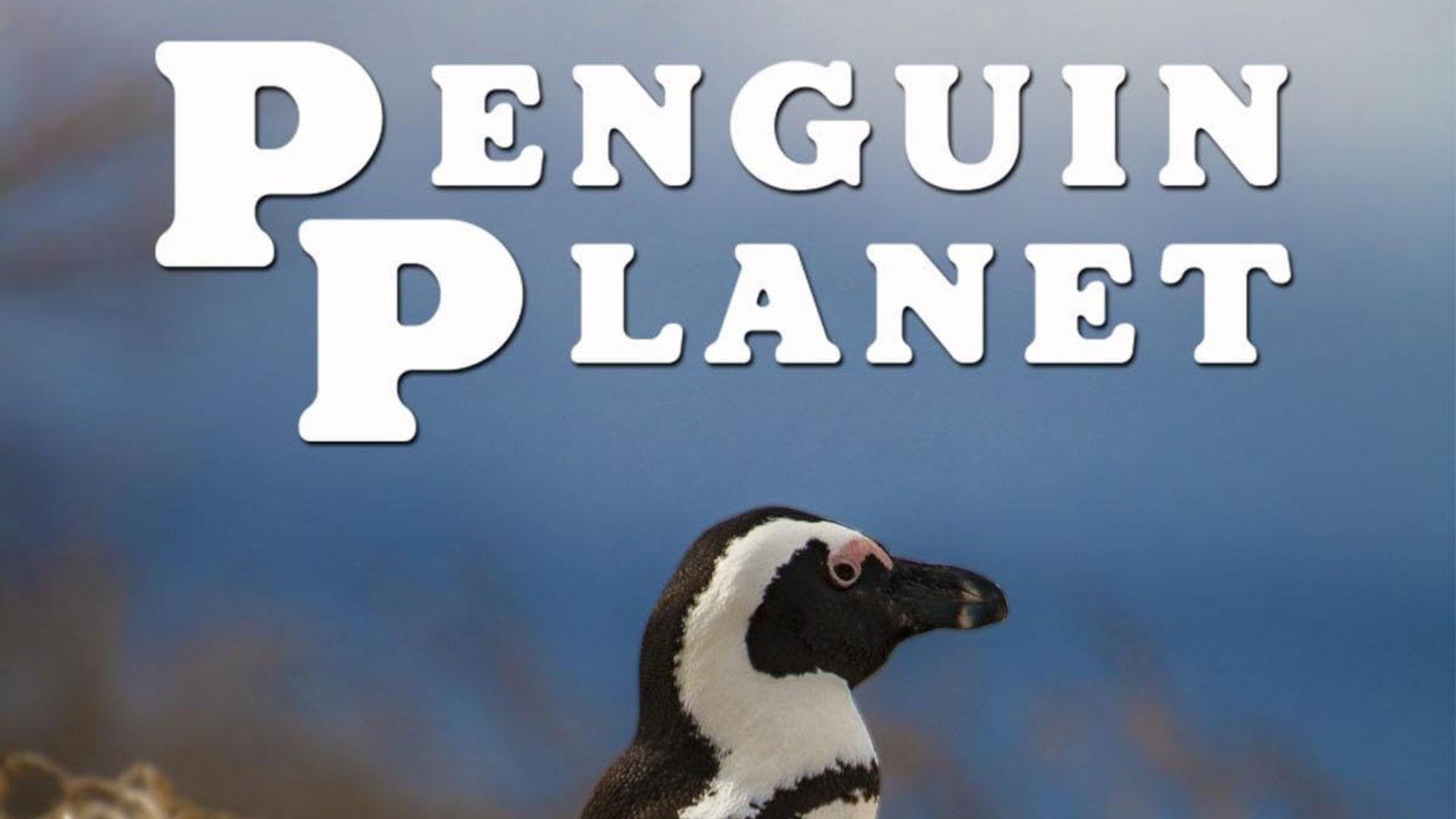 Penguin Planet 2026 movie scene