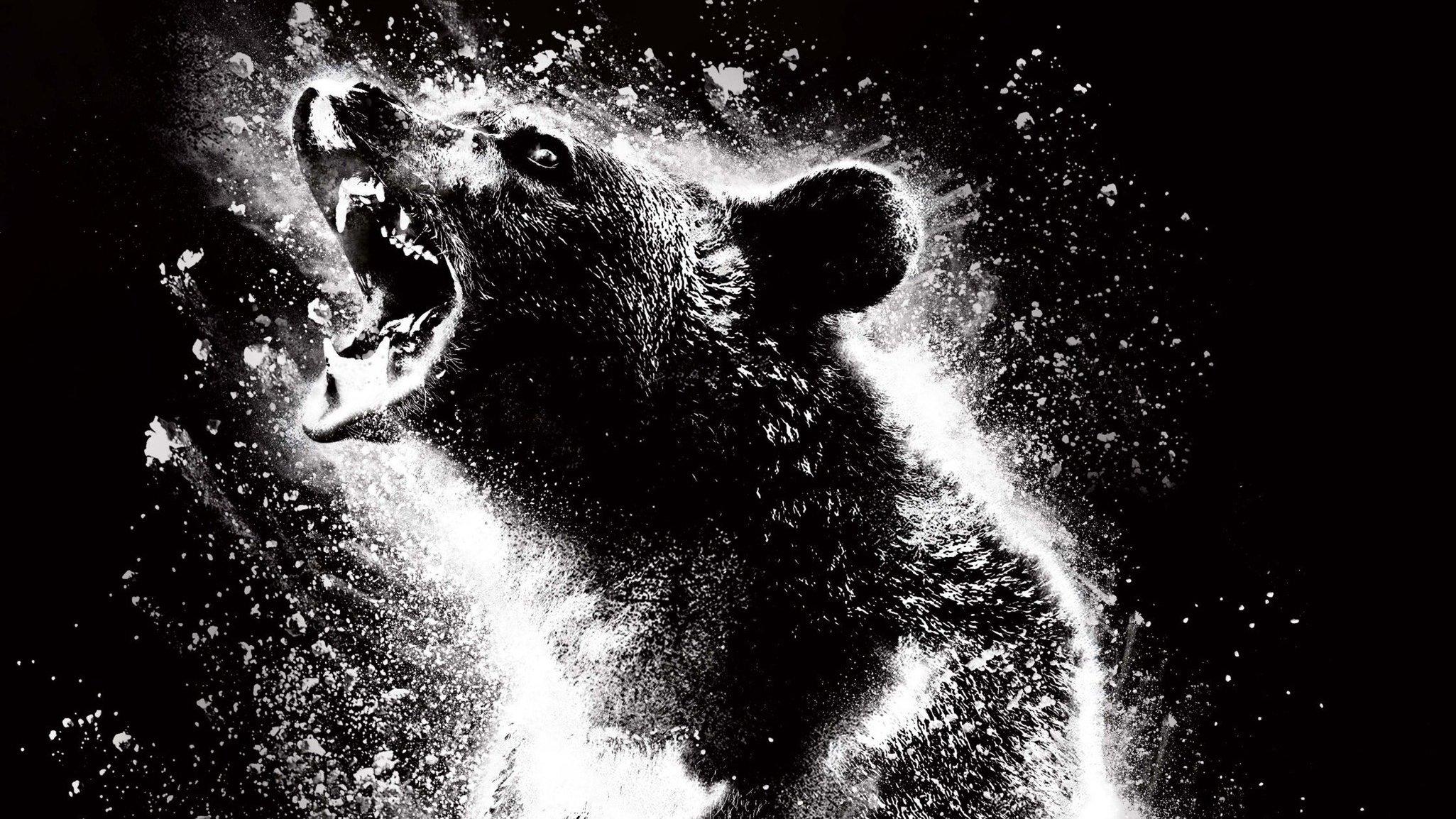 Cocaine Bear 2023 movie scene