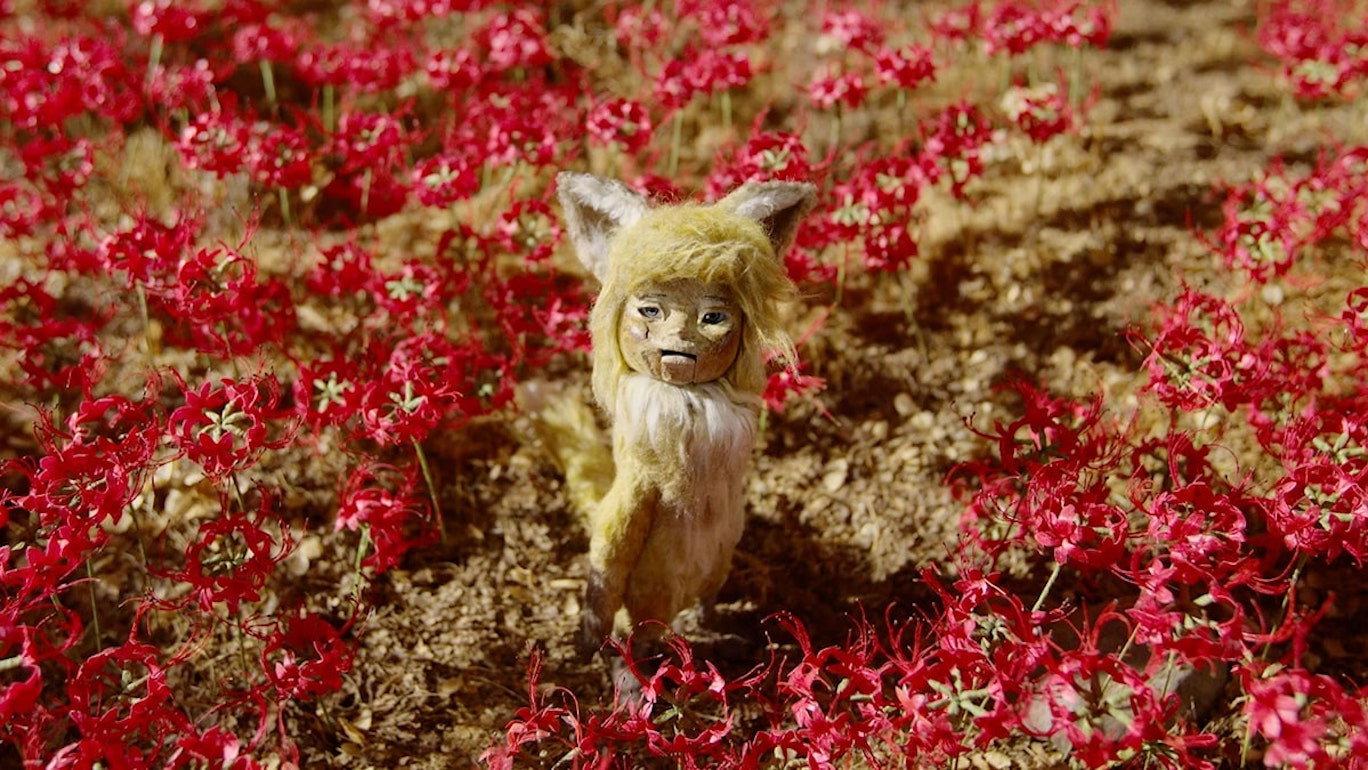 Gon, the Little Fox 2019 movie scene