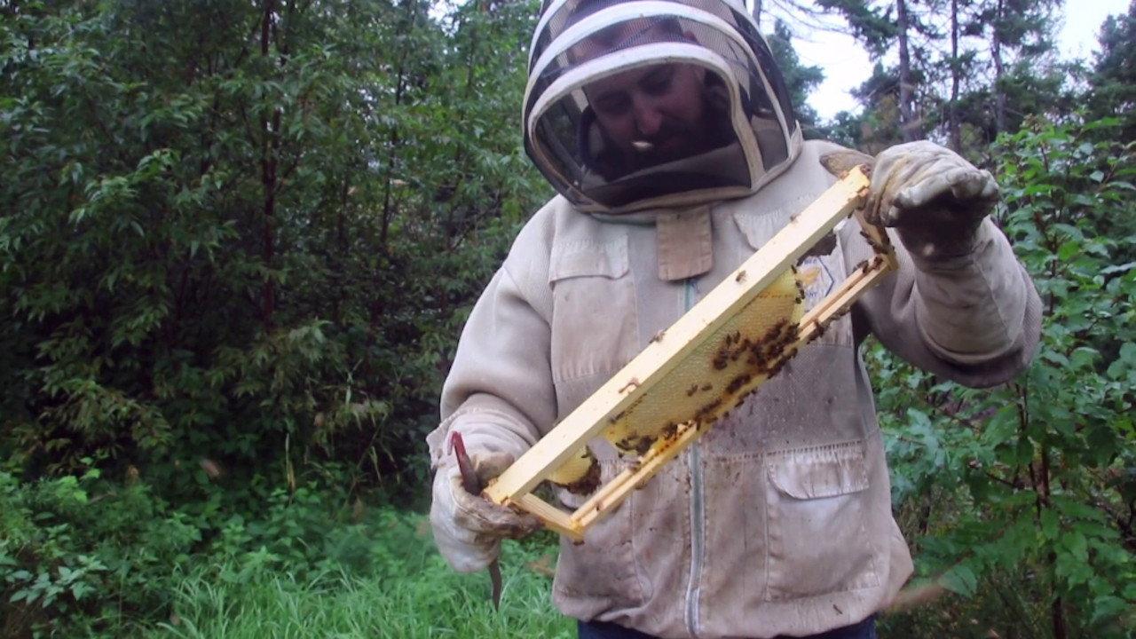 The Bearded Beekeeper 2023 movie scene