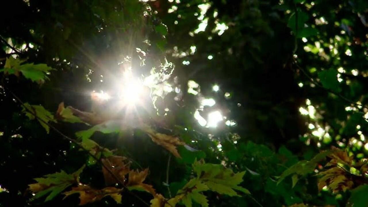 Golden Times – Cassandra’s Treasure 2012 movie scene