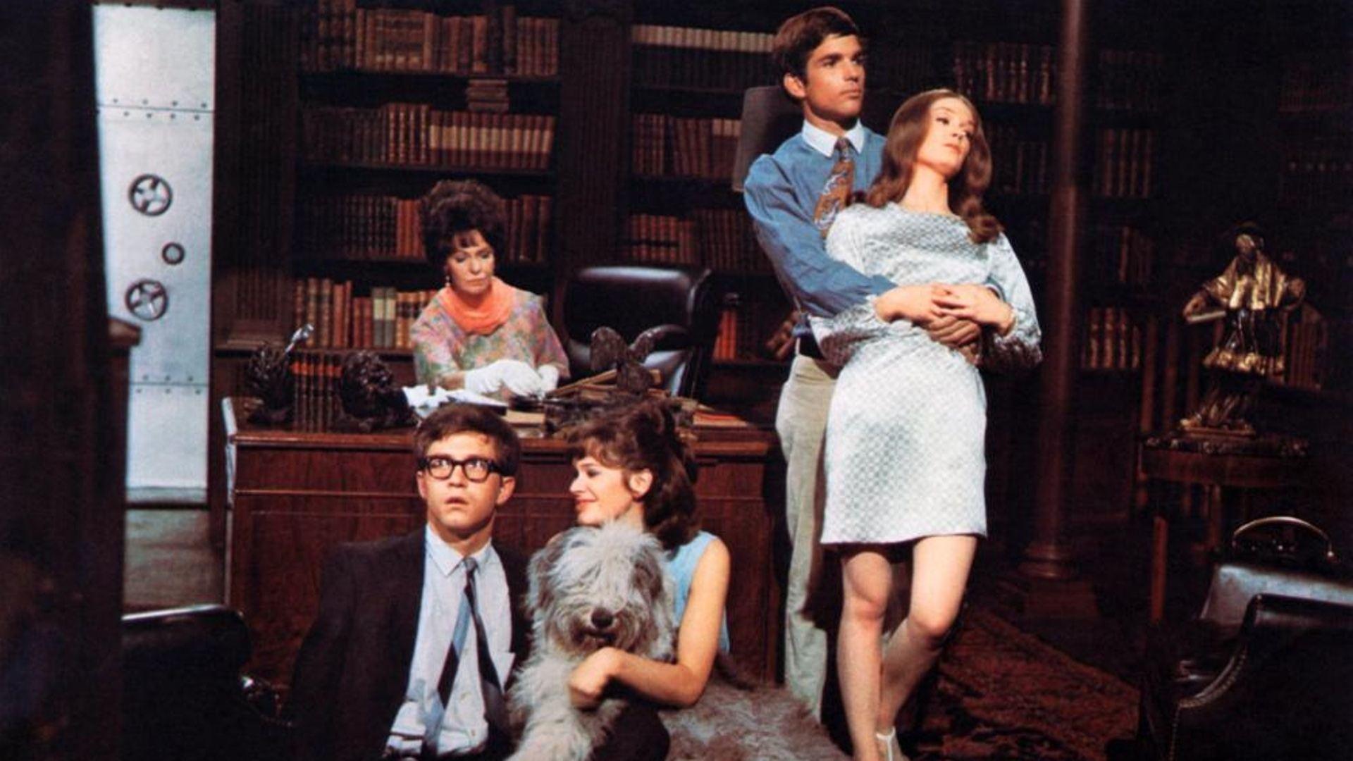 You're a Big Boy Now 1966 movie scene