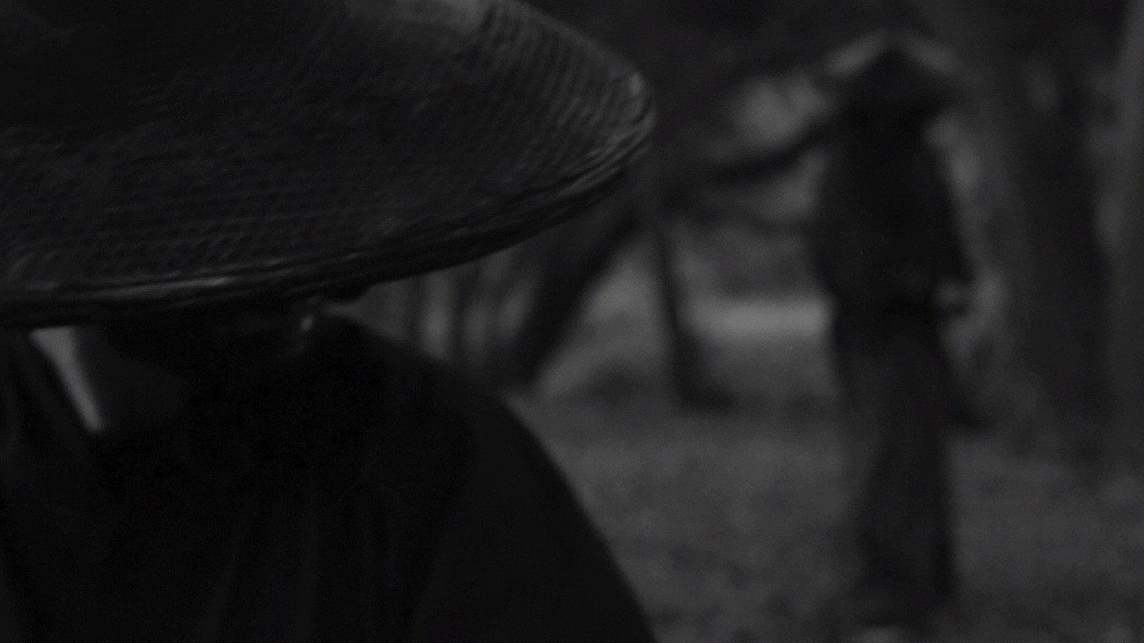 Burning Autumn Leaves: Treachery 2024 movie scene