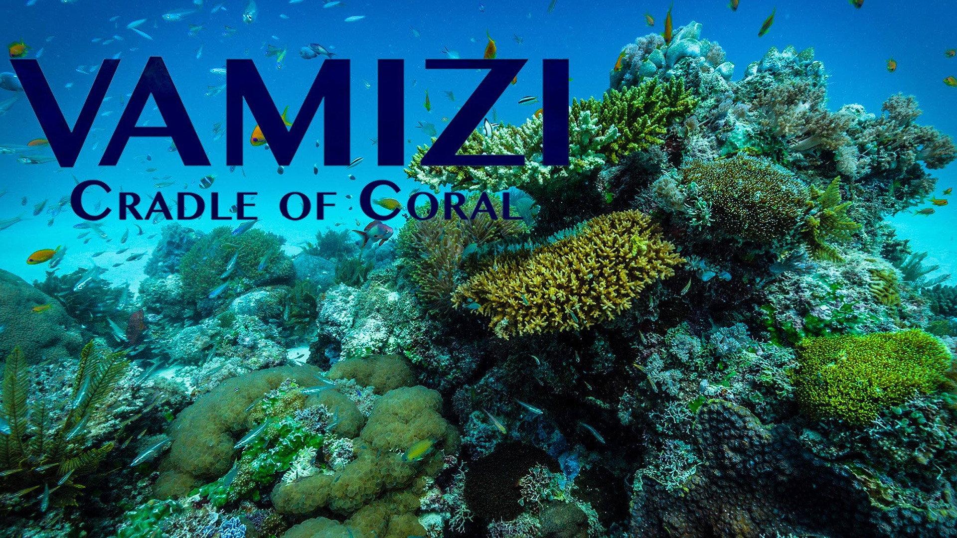 Vamizi Cradle of Coral 2016 movie scene