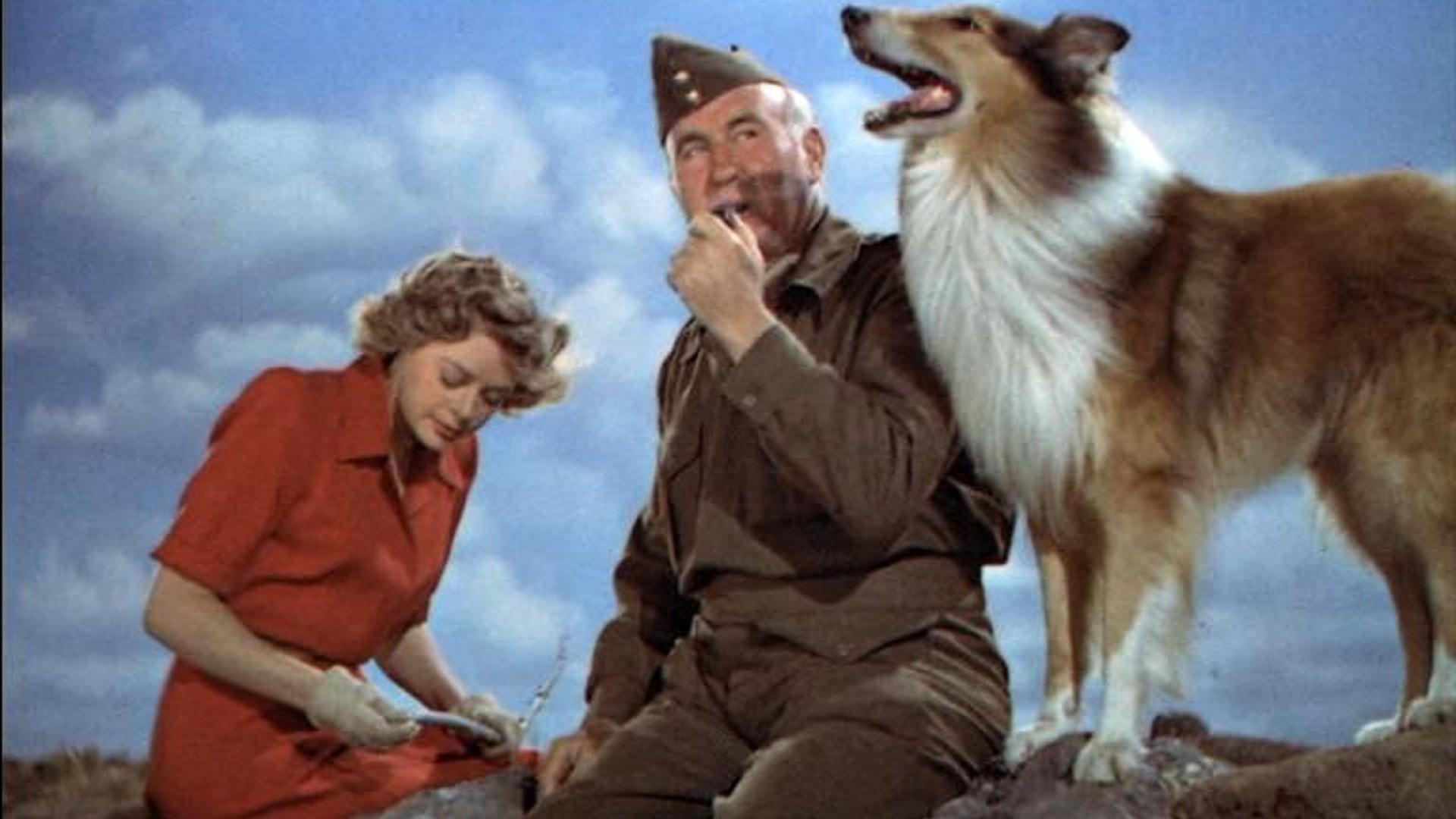 Son of Lassie 1945 movie scene