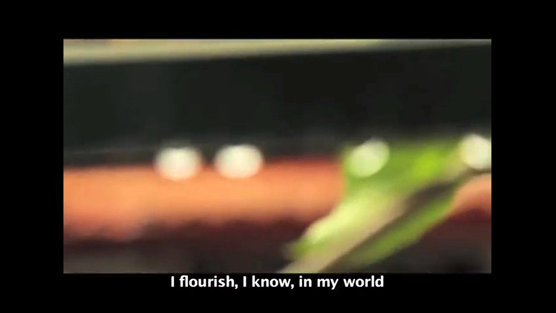 rain's jade derma 2013 movie scene