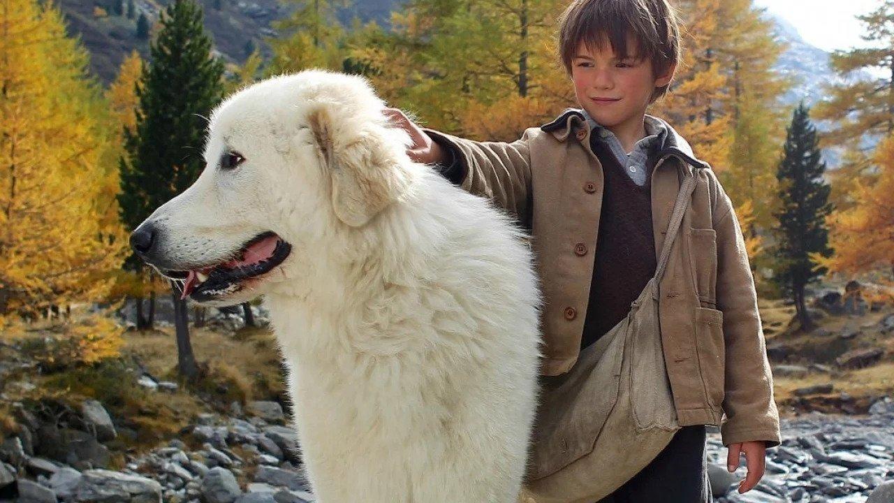 Belle and Sebastian 2013 movie scene