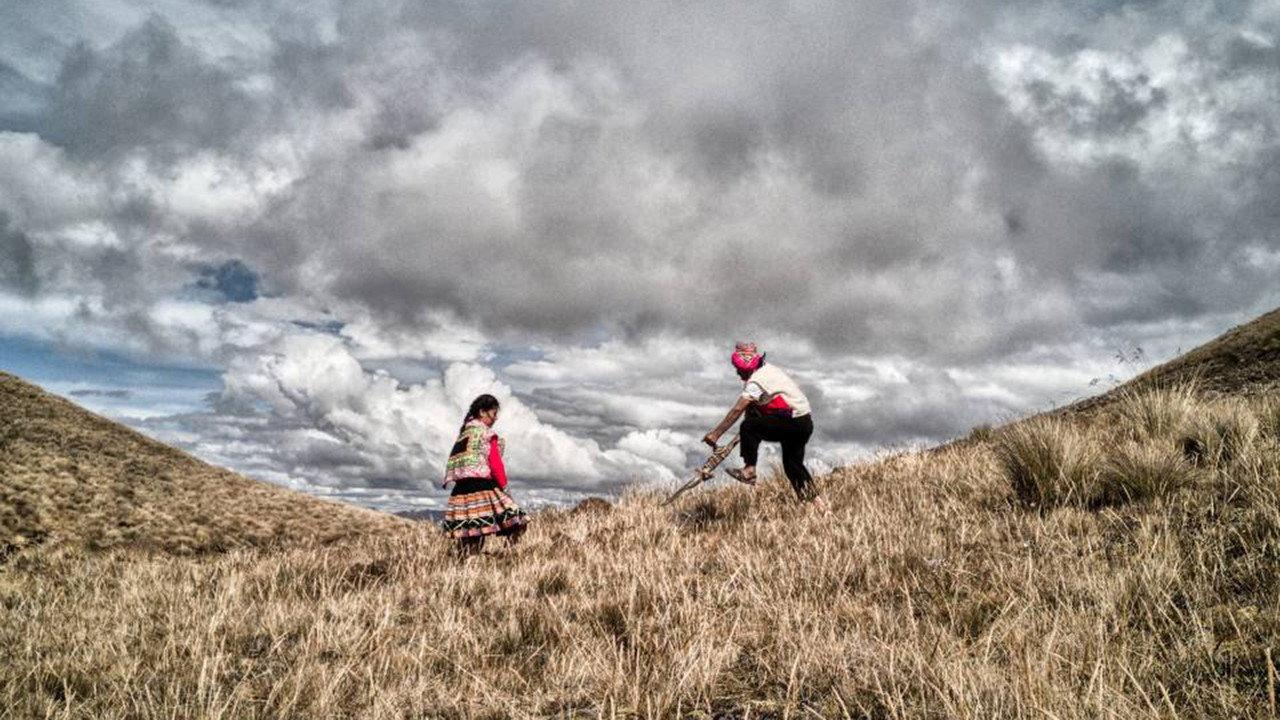 Hatun Phaqcha, The Healing Land 2022 movie scene