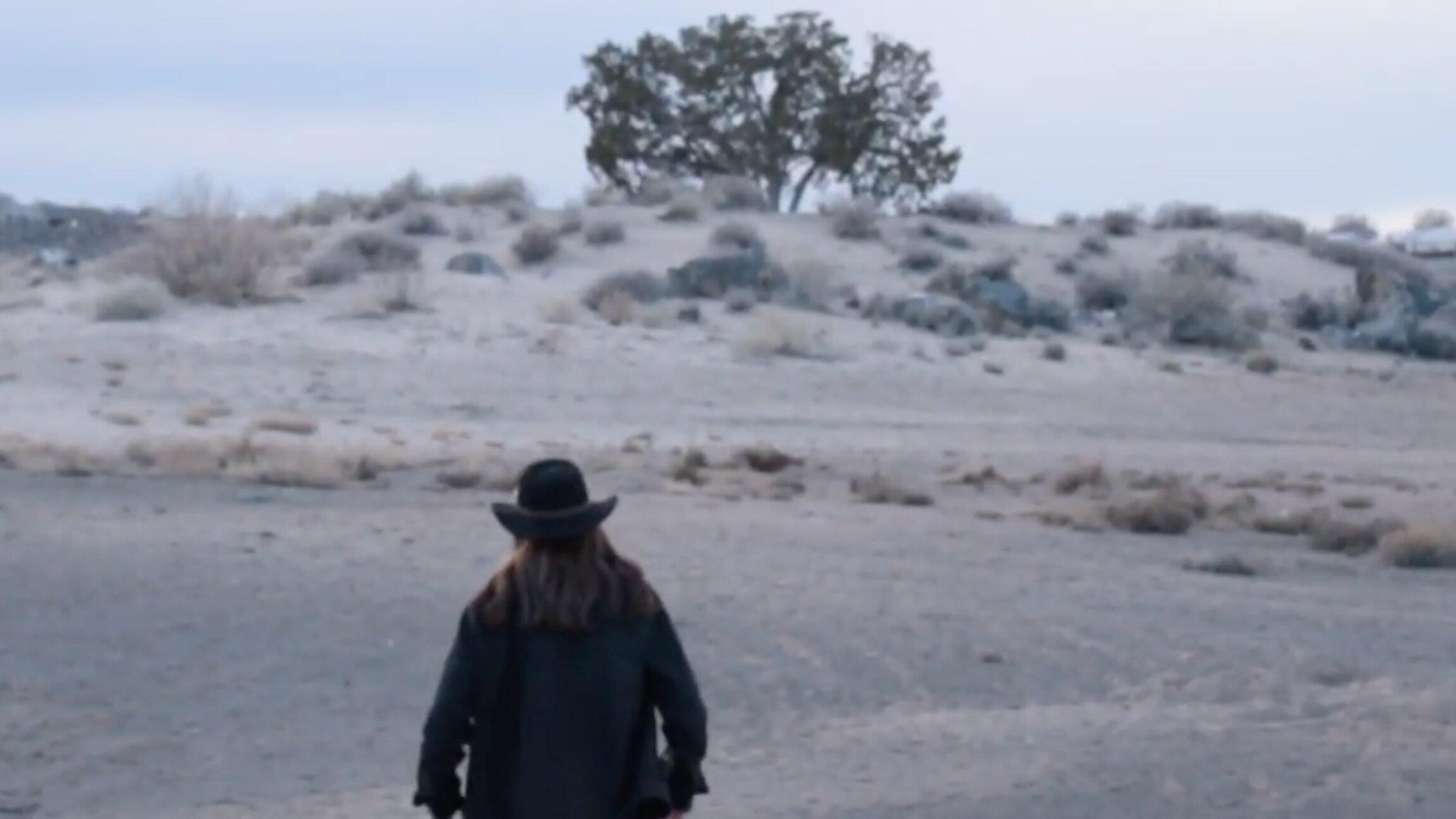 Man in the Mesa 2024 movie scene