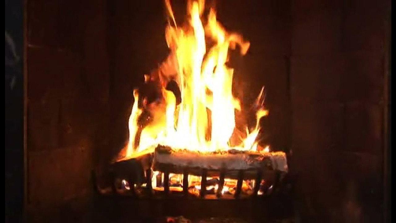 Holiday Fire 2008 movie scene