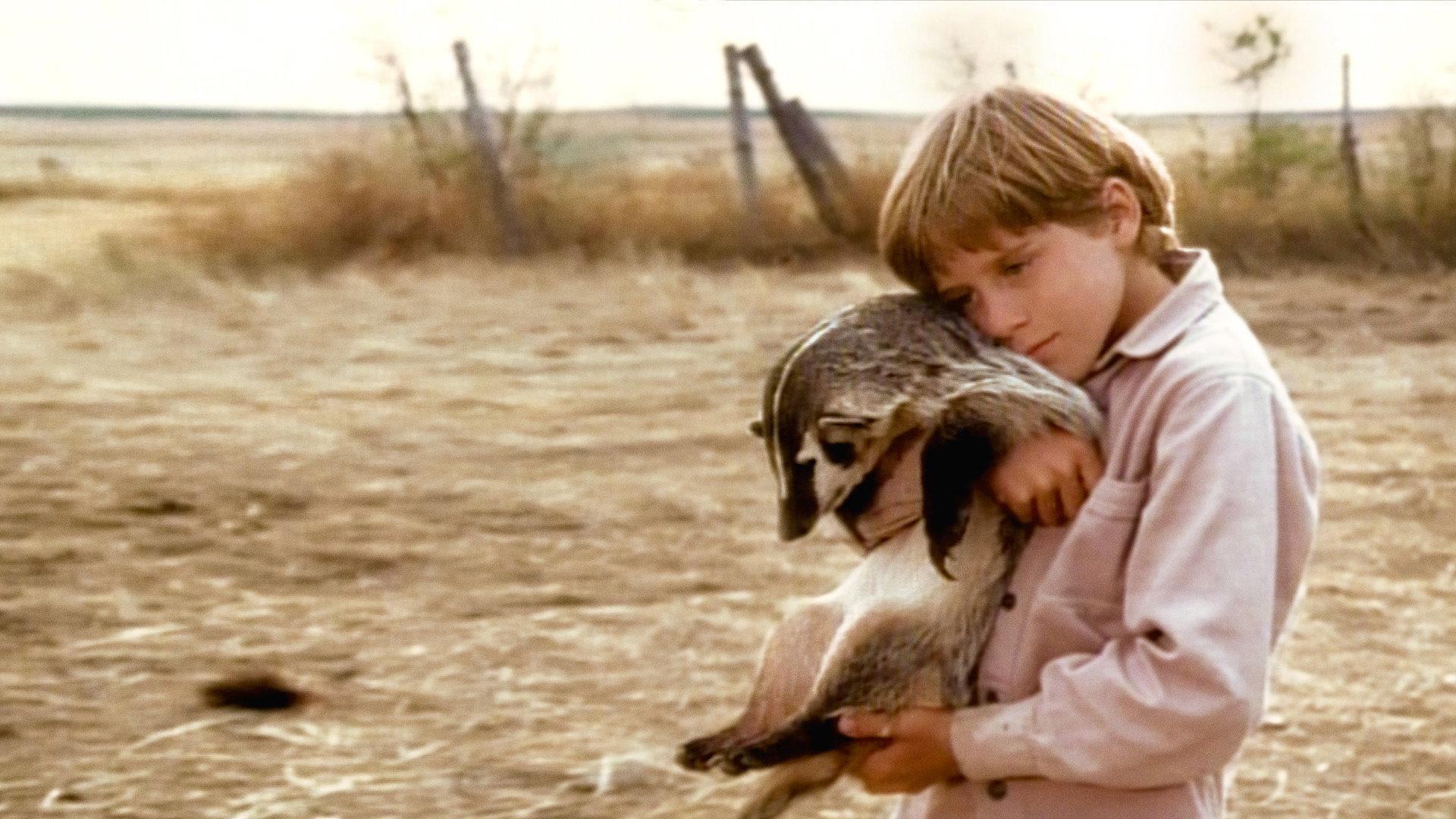 The Boy Who Talked to Badgers 1975 movie scene