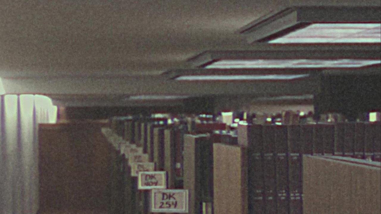The Cowboy and the LIbrary in the Wake of Stressful Events 2023 movie scene