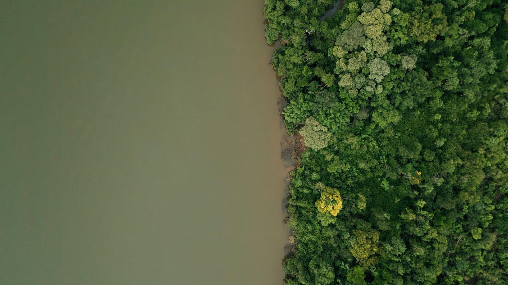 DAMS AMONG US 2024 movie scene