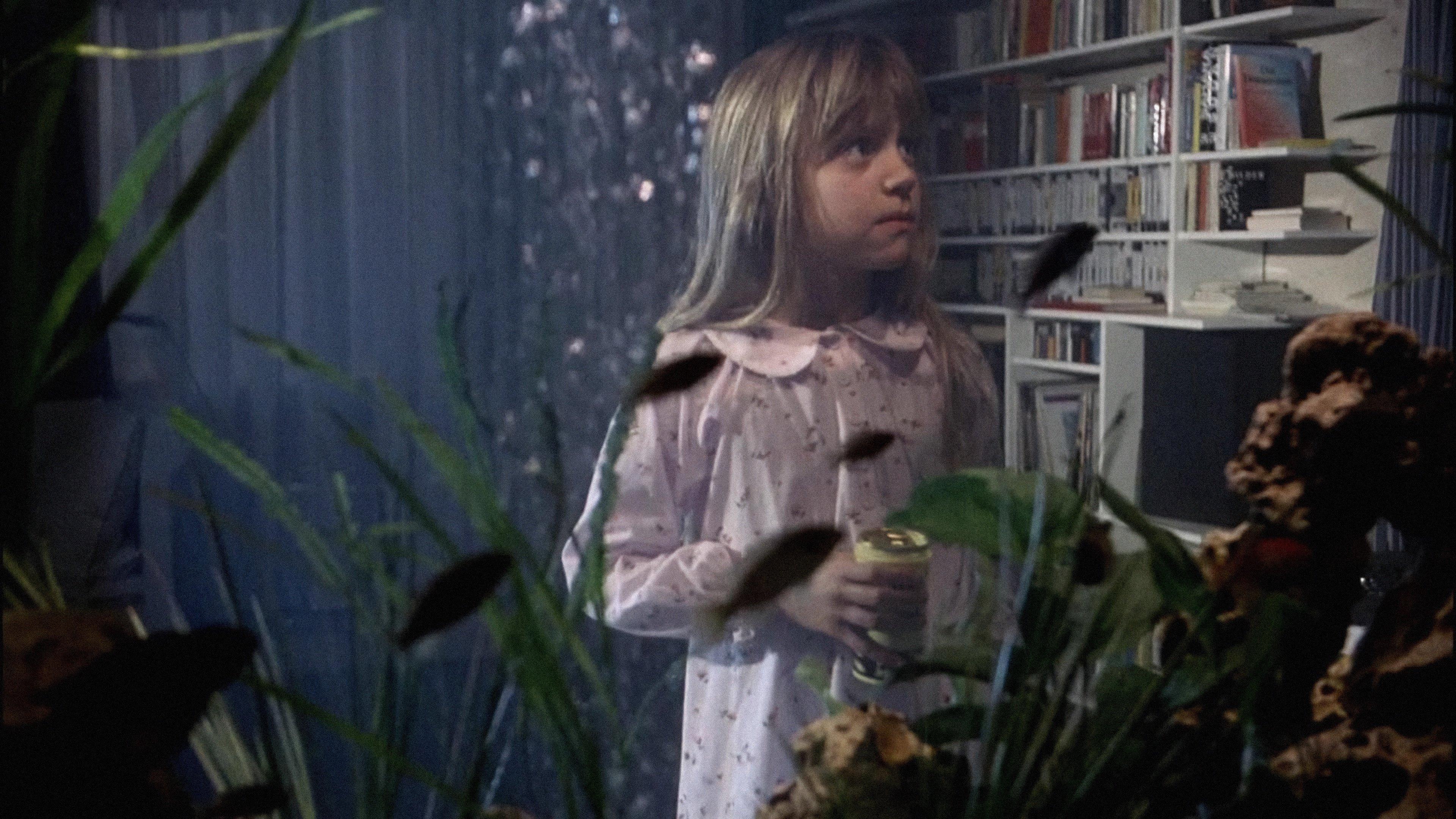 The Seventh Continent 1989 movie scene