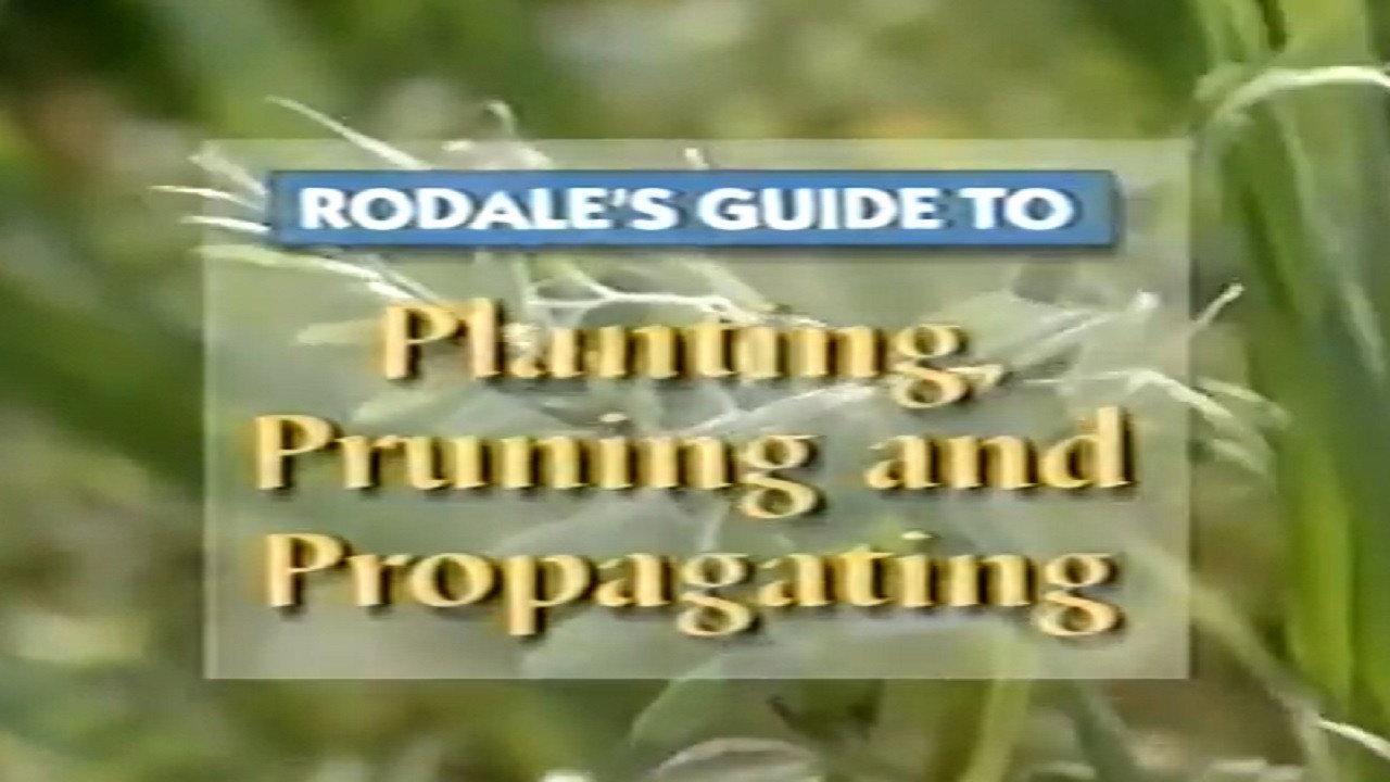 Rodale's Guide to Planting, Pruning and Propagating 1996 movie scene