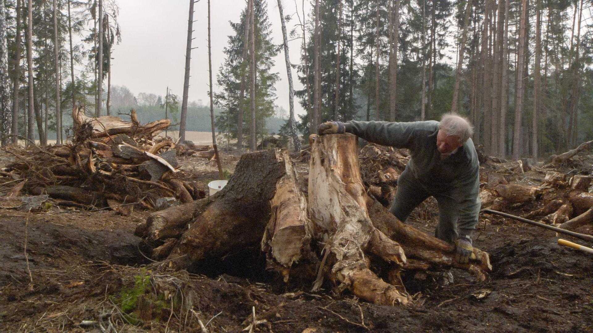 Over the Years 2015 movie scene