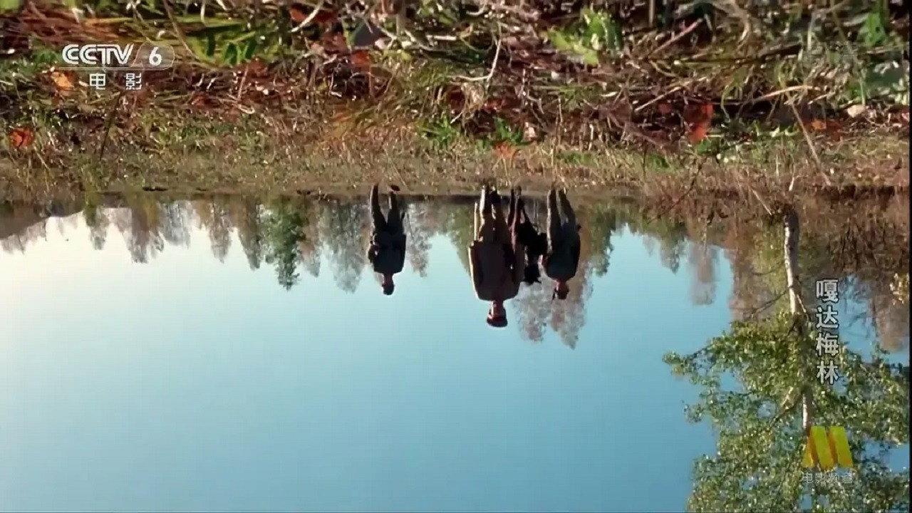 Gada Meilin 2002 movie scene