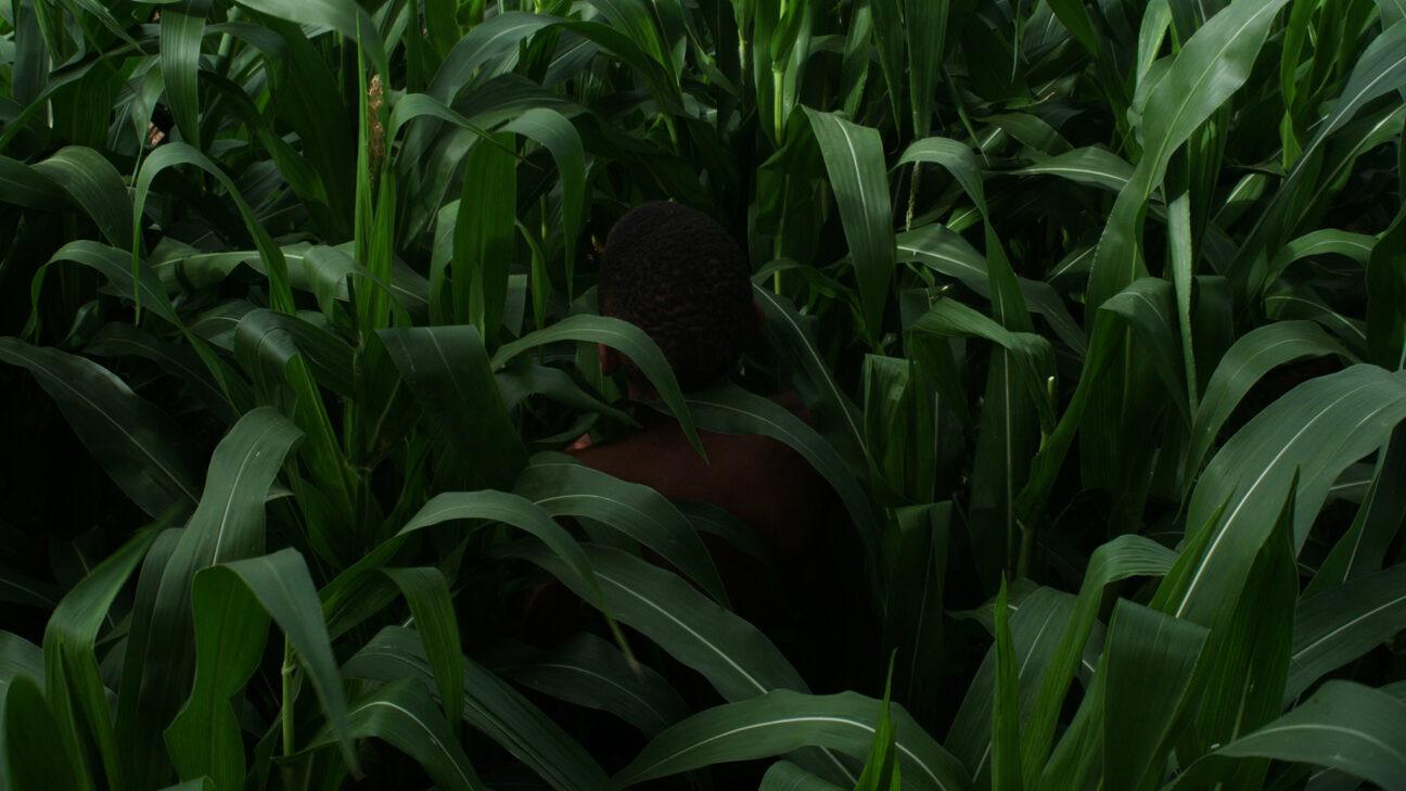 The Last Harvest 2025 movie scene