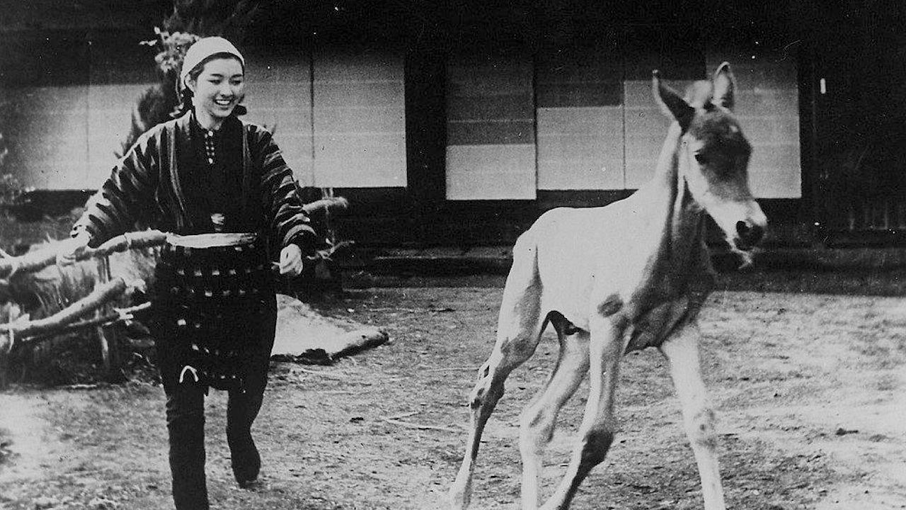 Horse 1941 movie scene