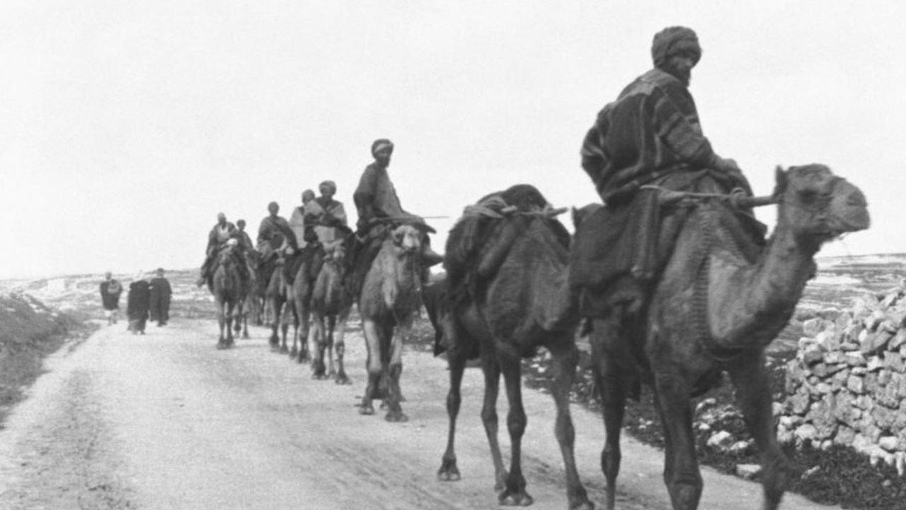 Caravane de chameaux 1897 movie scene