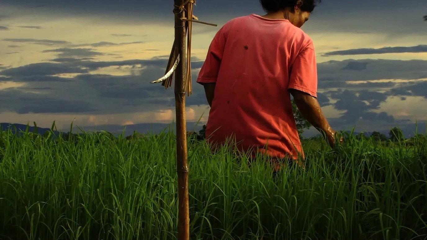 Agrarian Utopia 2009 movie scene