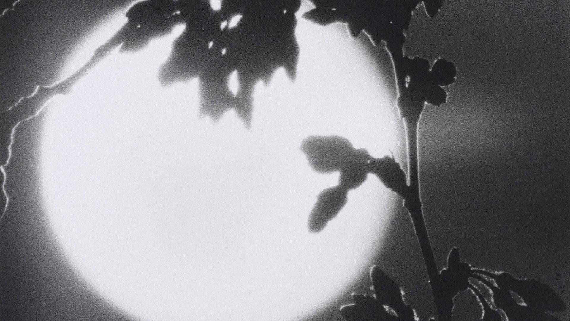 Flower in the Space 1989 movie scene