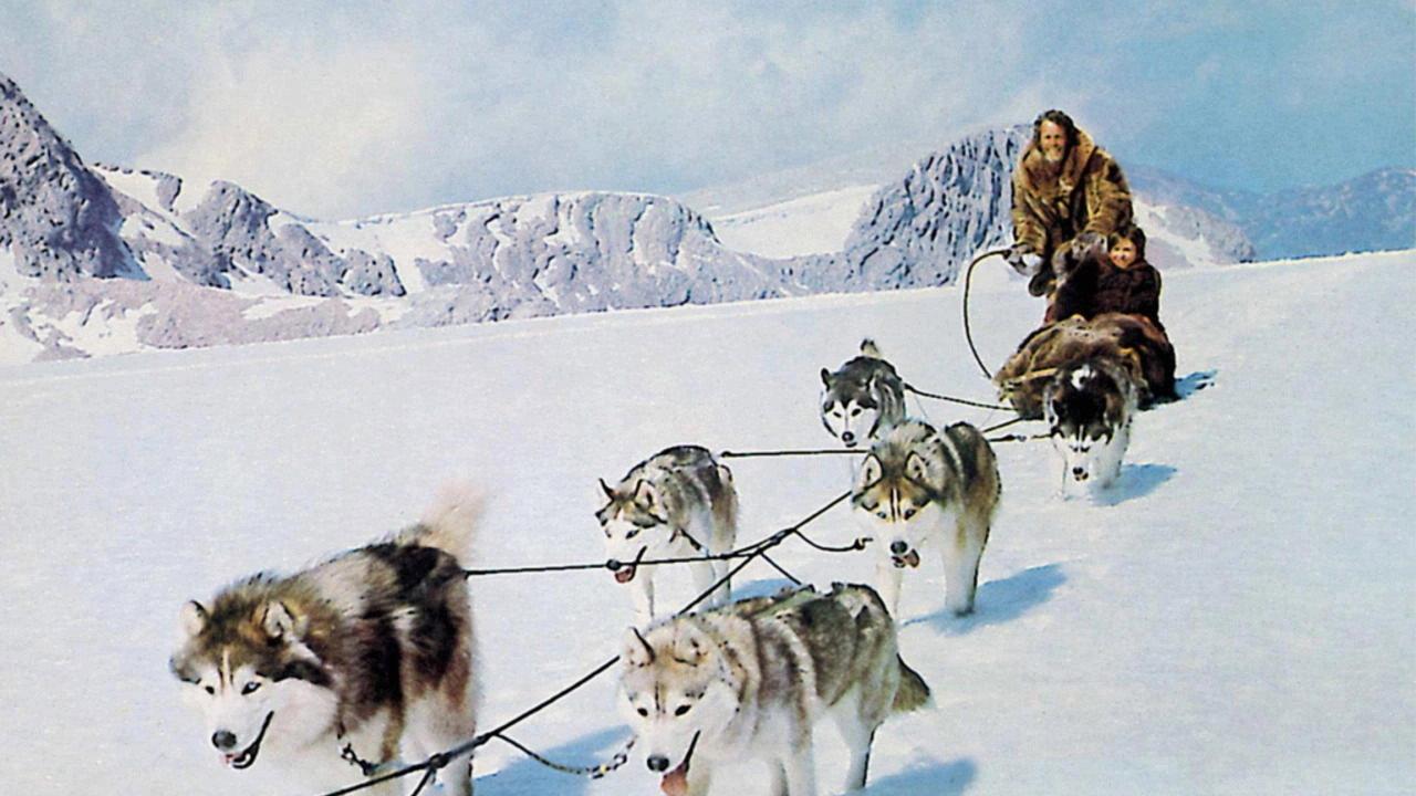 Hell Hounds of Alaska 1973 movie scene