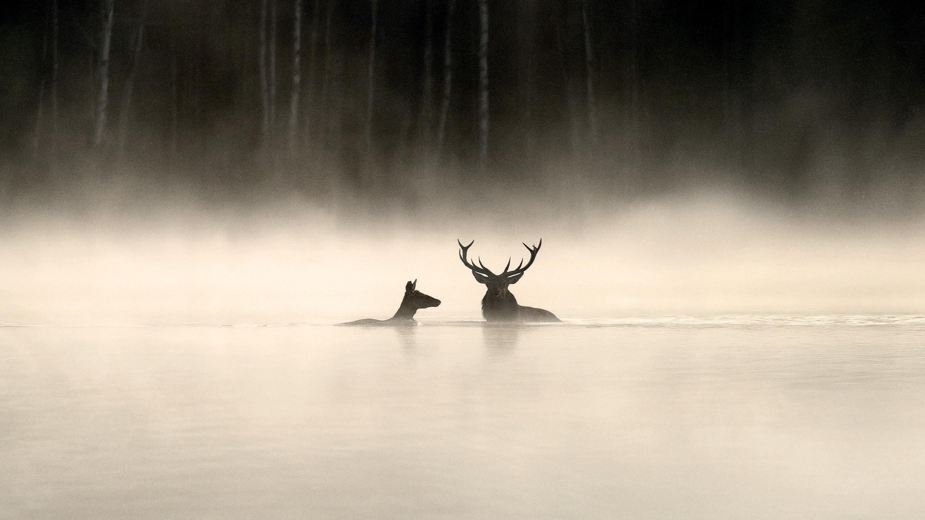 Whispers in the Woods 2025 movie scene