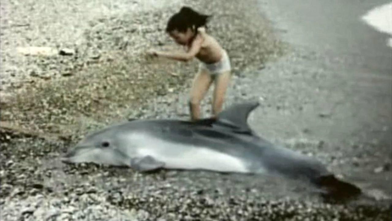 Metichara 1988 movie scene