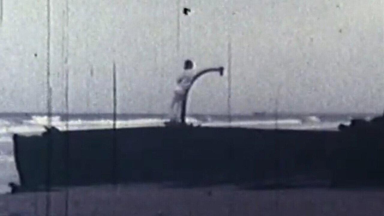 The Whale 1972 movie scene