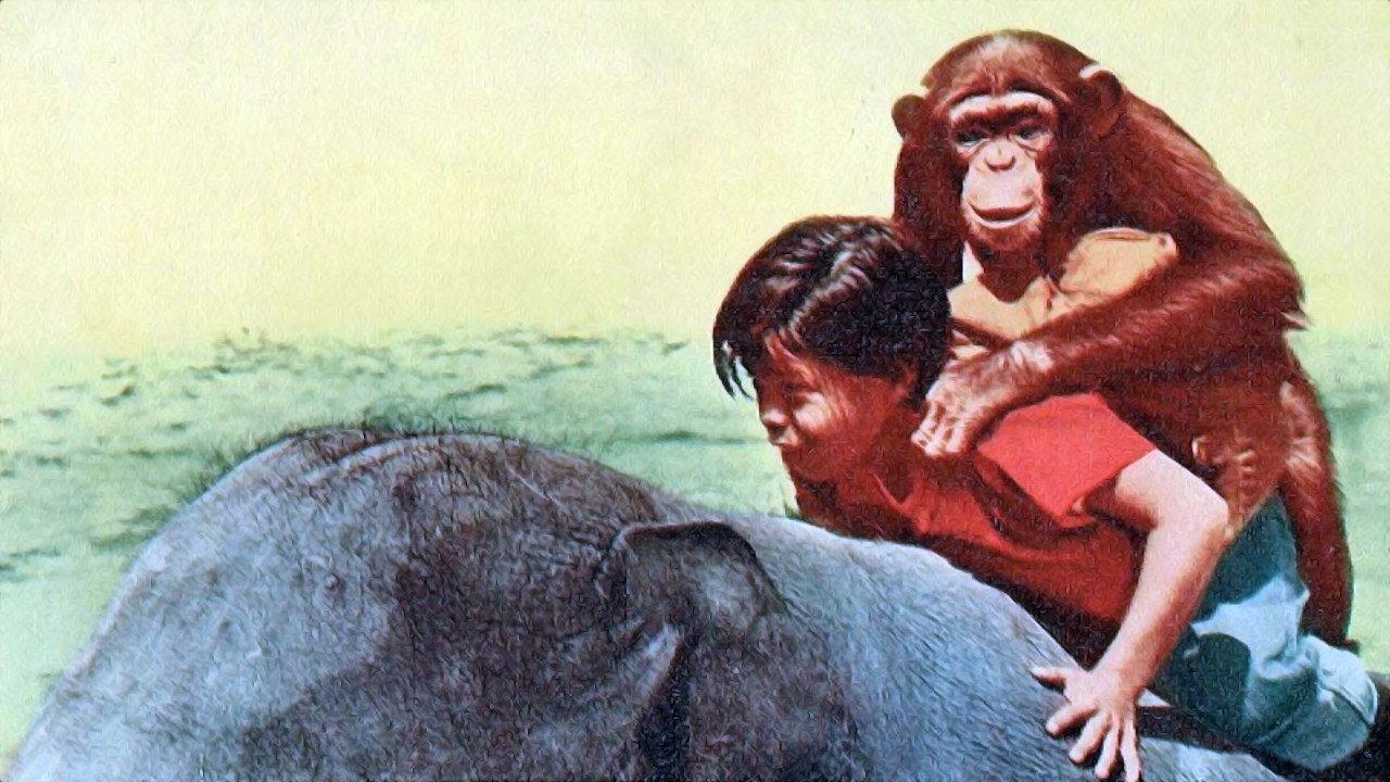 Taffy and the Jungle Hunter 1965 movie scene