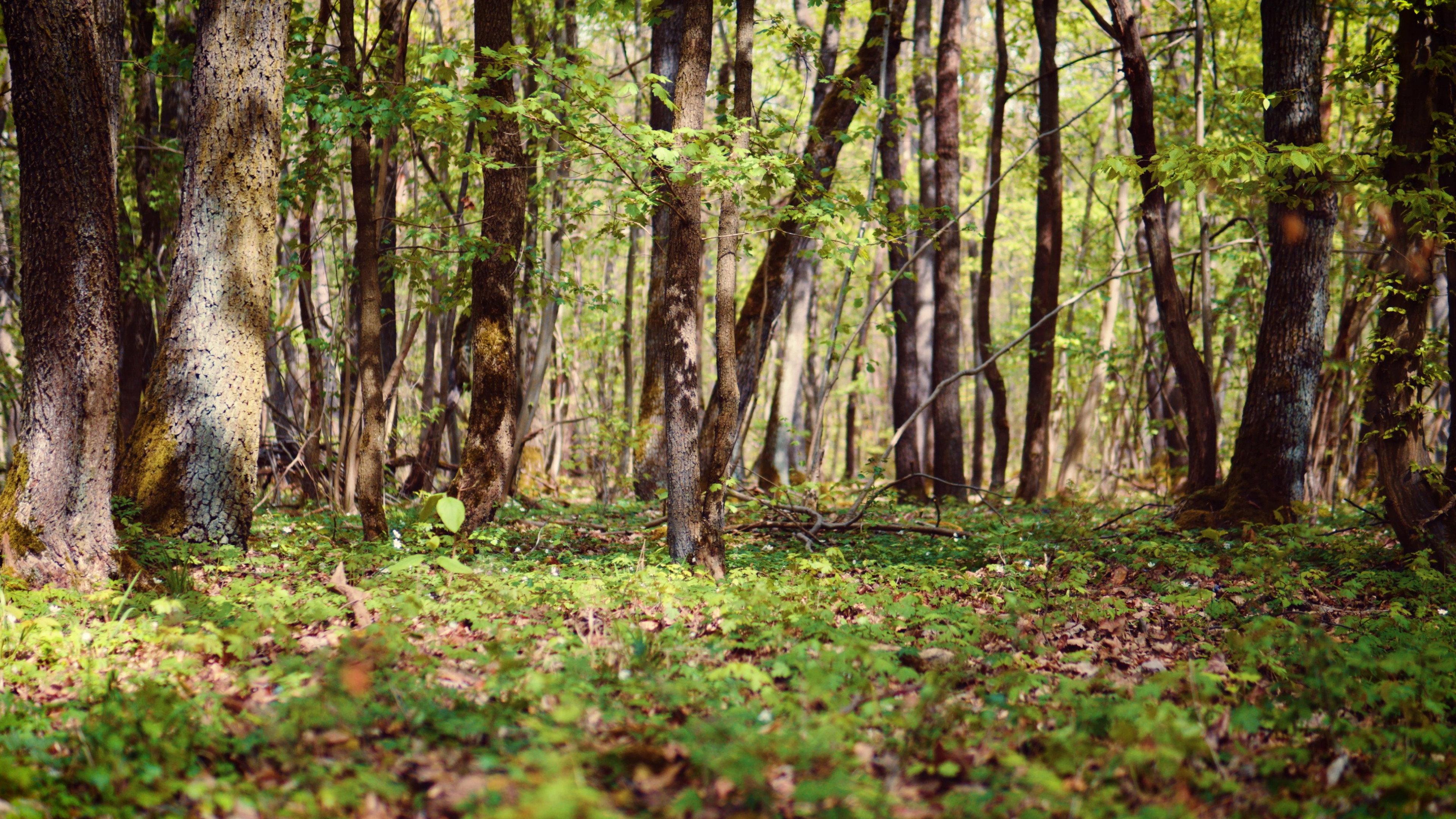 Weckruf der Natur movie scene