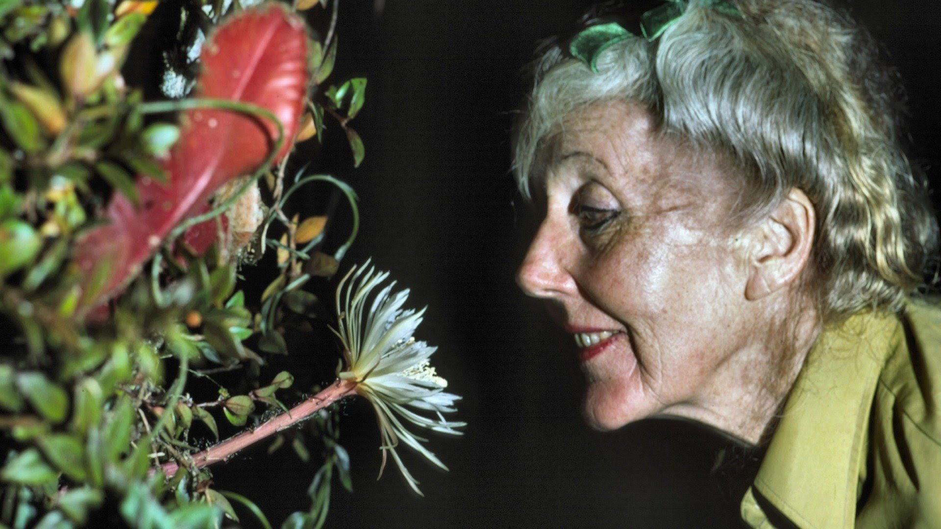 Margaret Mee and the Moonflower 2013 movie scene