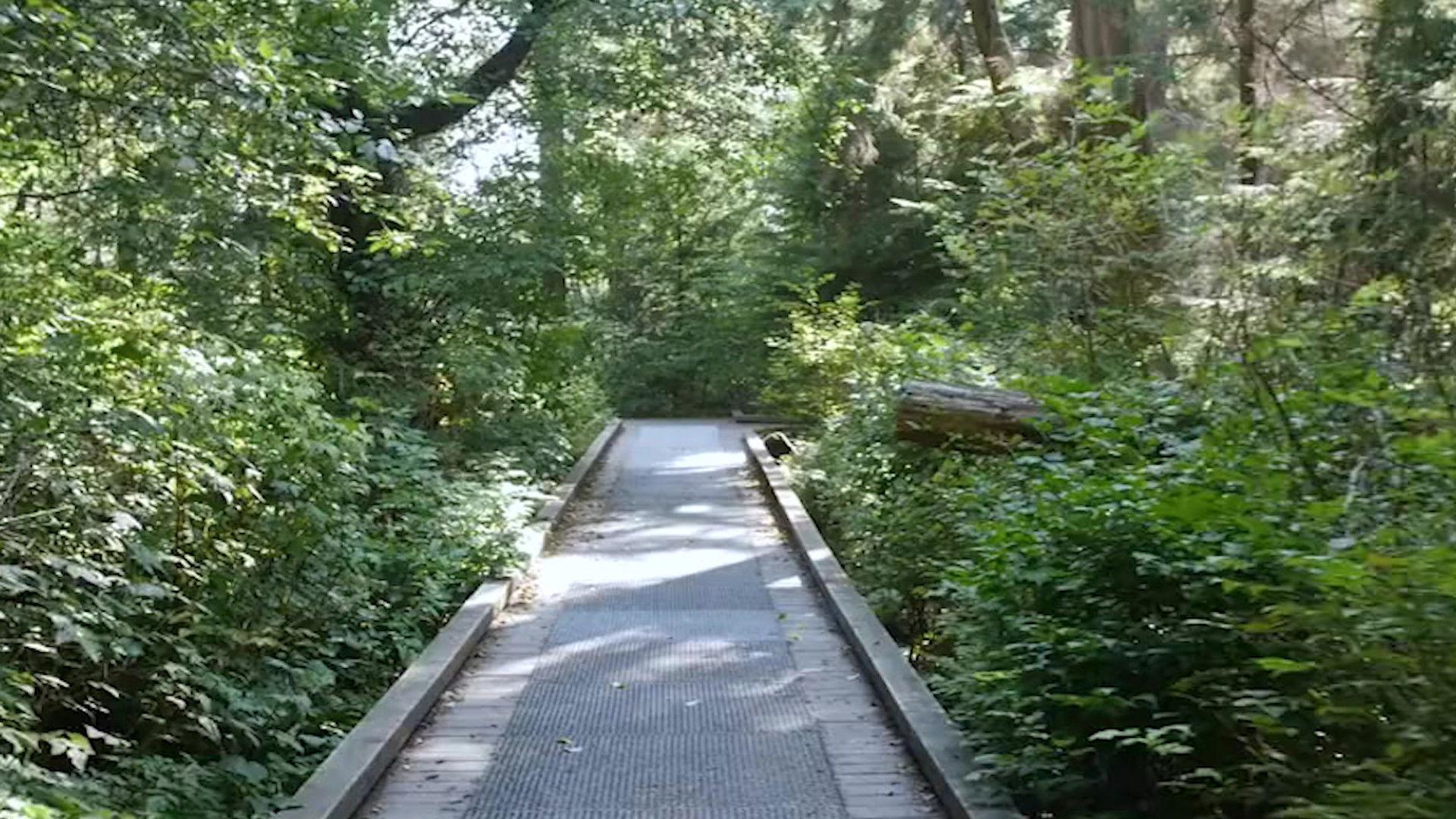 The Lost Vlog of Ruby Real 2020 movie scene