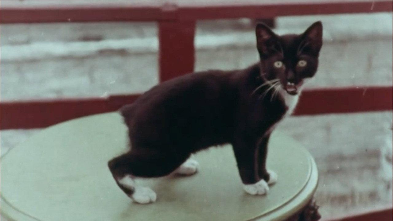 The Isle Of Man 1958 movie scene