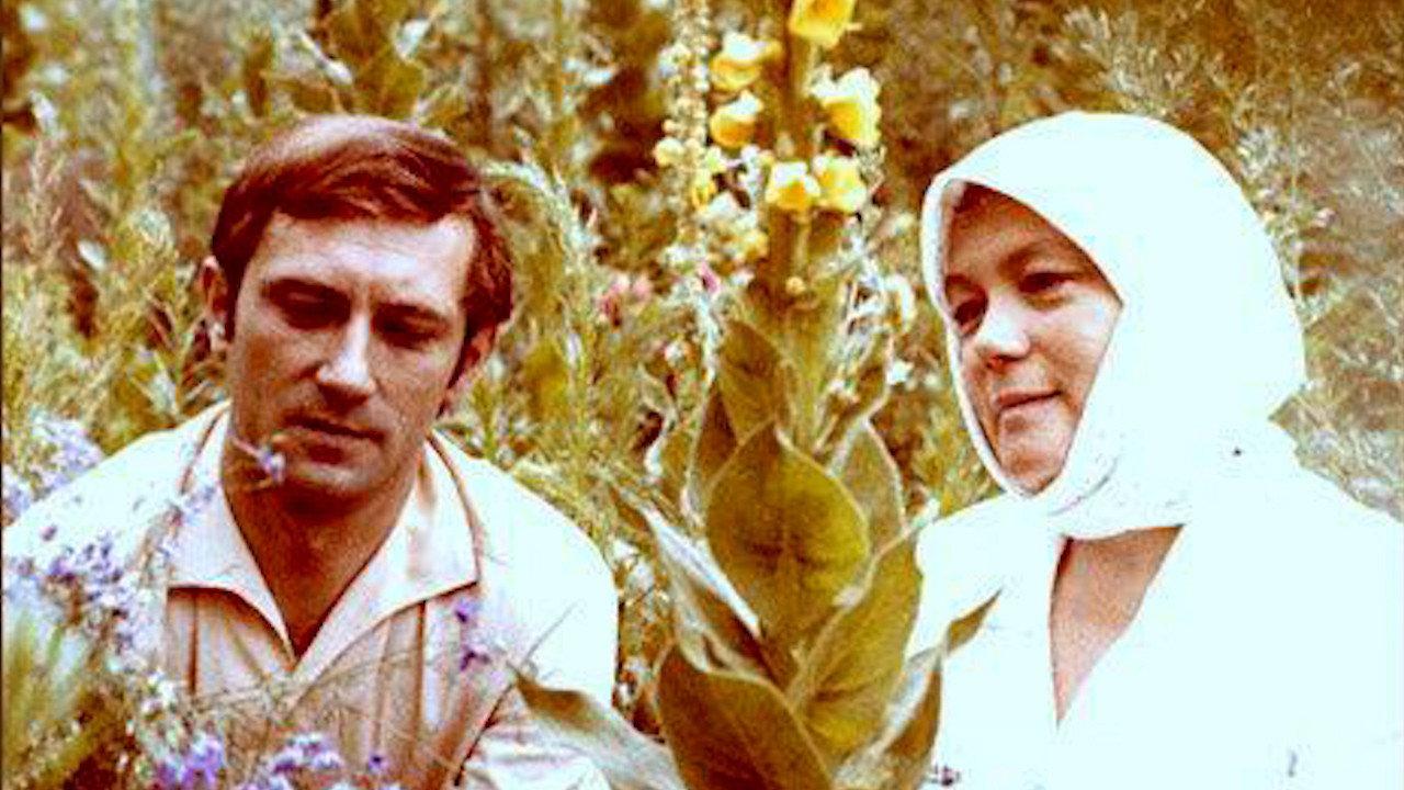 In Midsummer 1975 movie scene