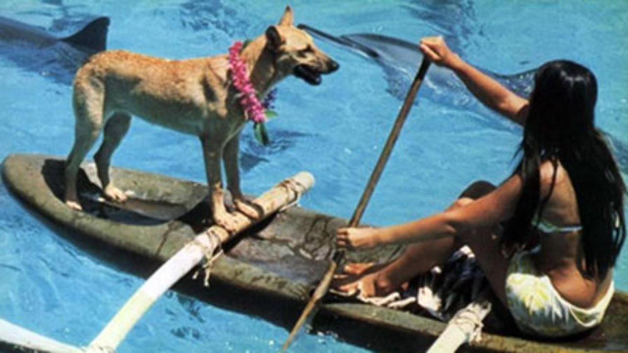 Fratello mare 1975 movie scene