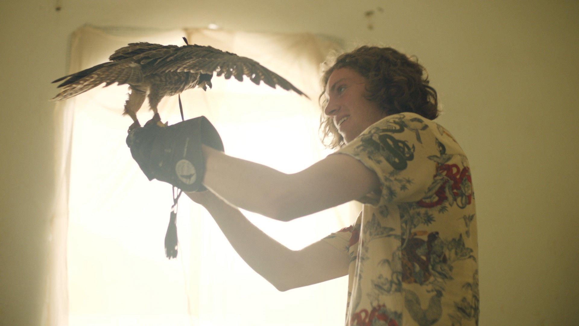 The Falconer 2021 movie scene