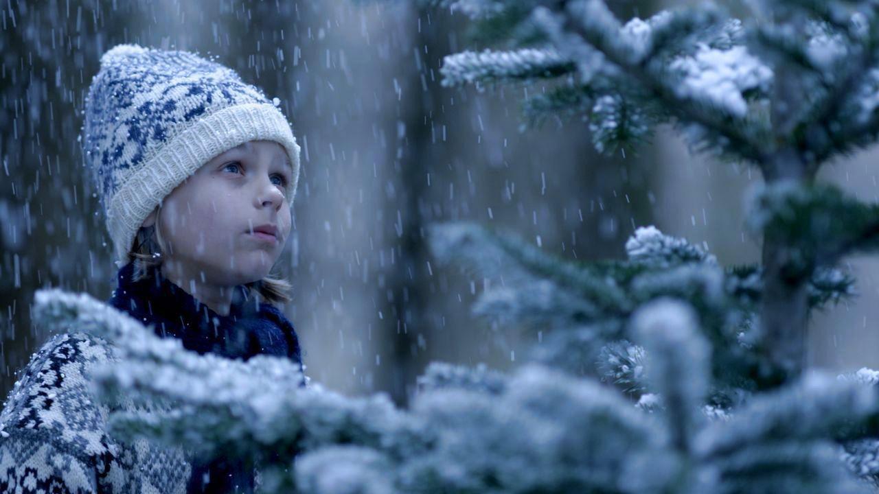 The Fir Tree 2011 movie scene