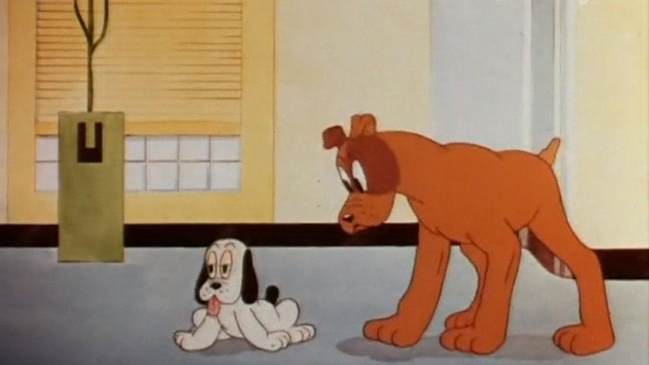 Dog Gone Modern 1939 movie scene