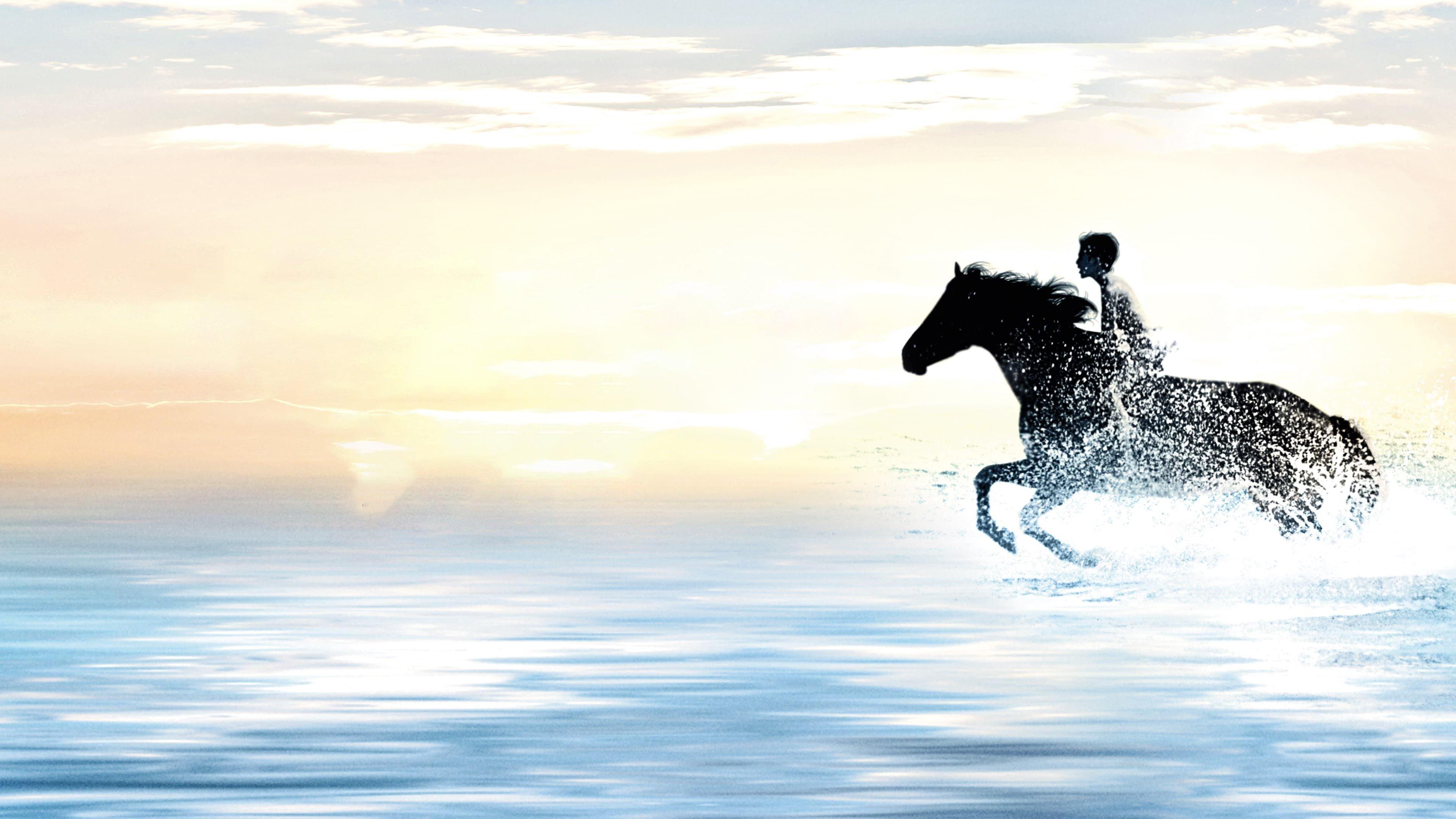 The Black Stallion 1979 movie scene