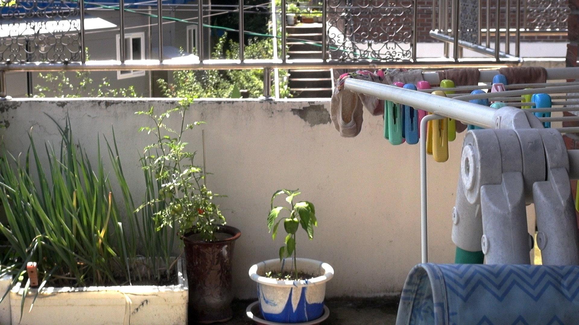 Who Does the Chores?​ 2026 movie scene