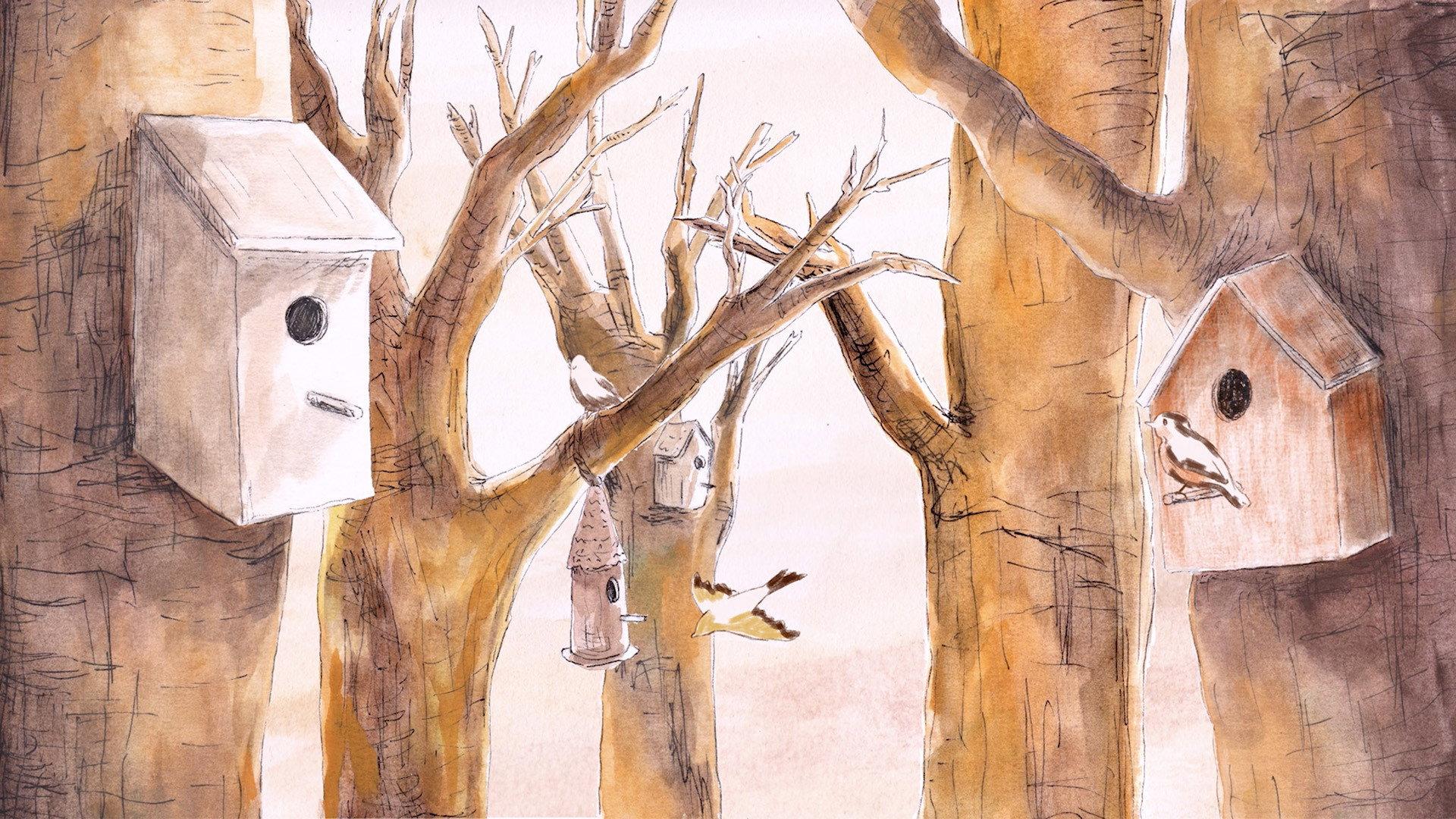 Le chant des oiseaux 2026 movie scene
