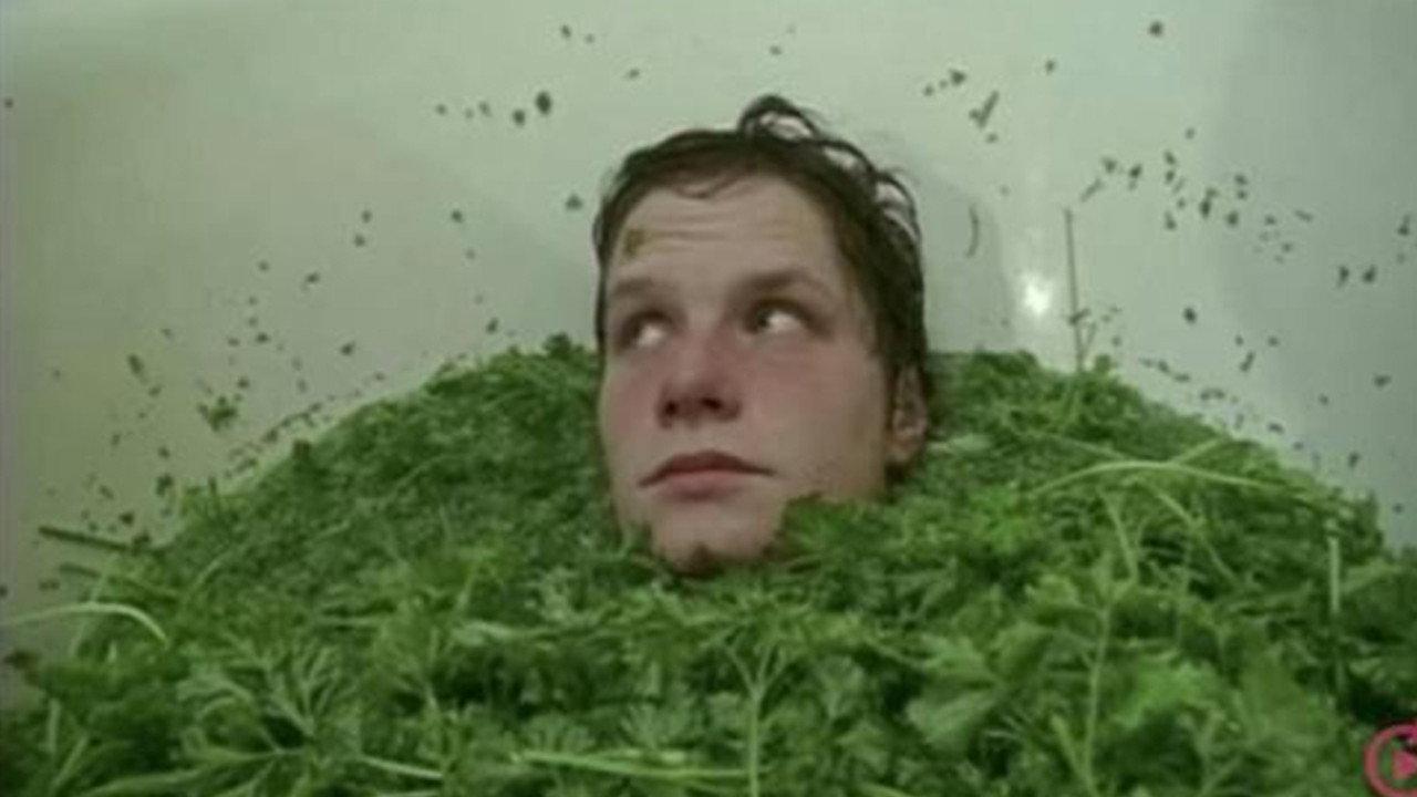 Parsley Days 2000 movie scene