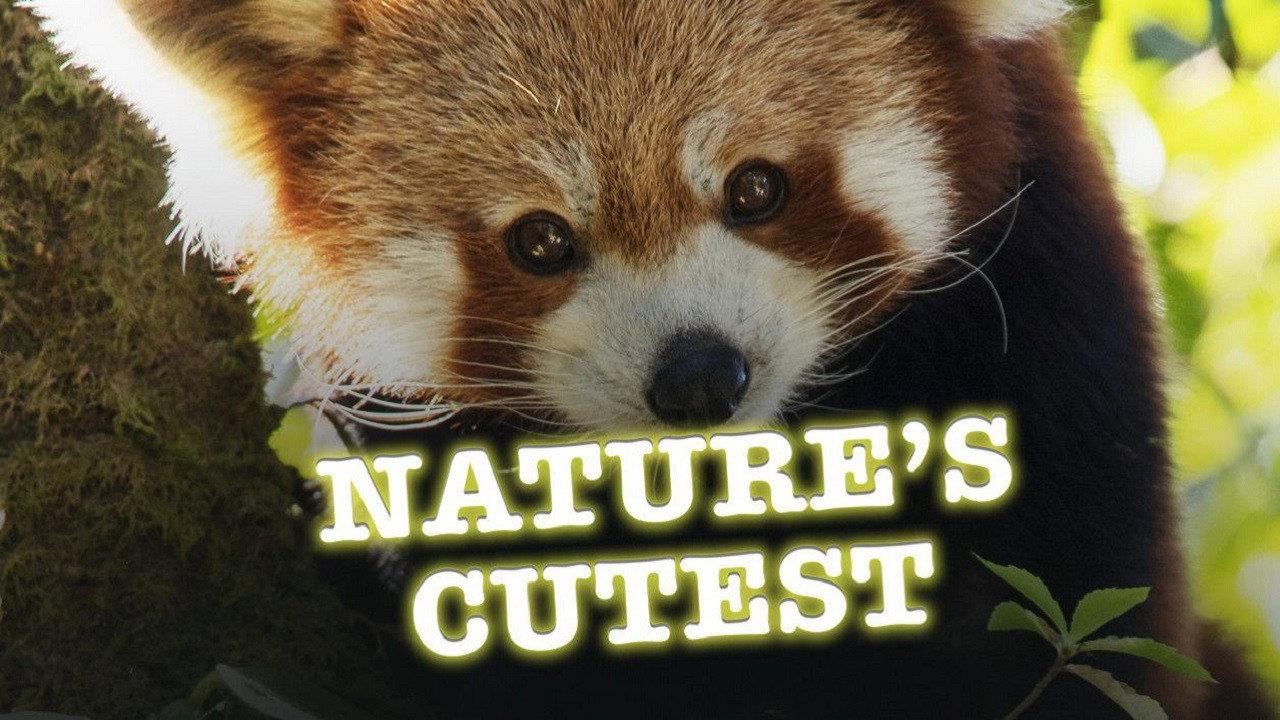 Nature's Cutest 2021 movie scene