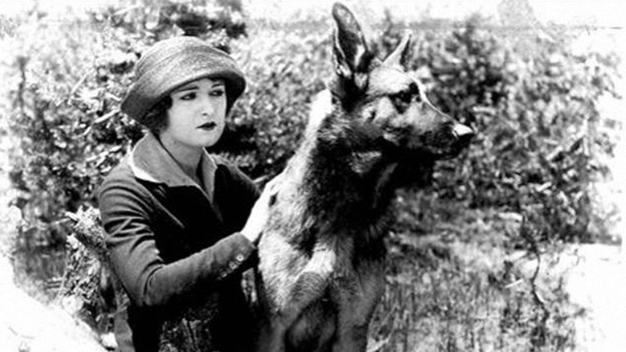 The Silent Call 1921 movie scene