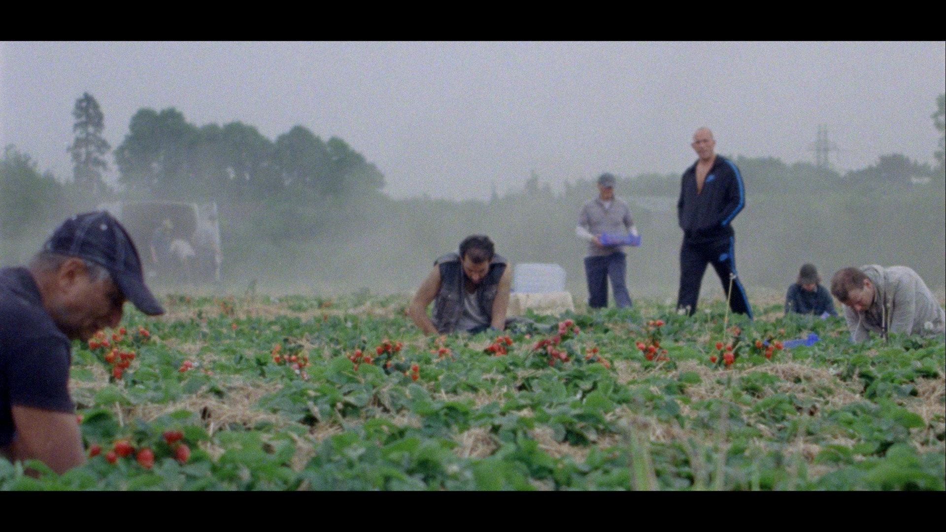 Sunny Life Farms 2024 movie scene