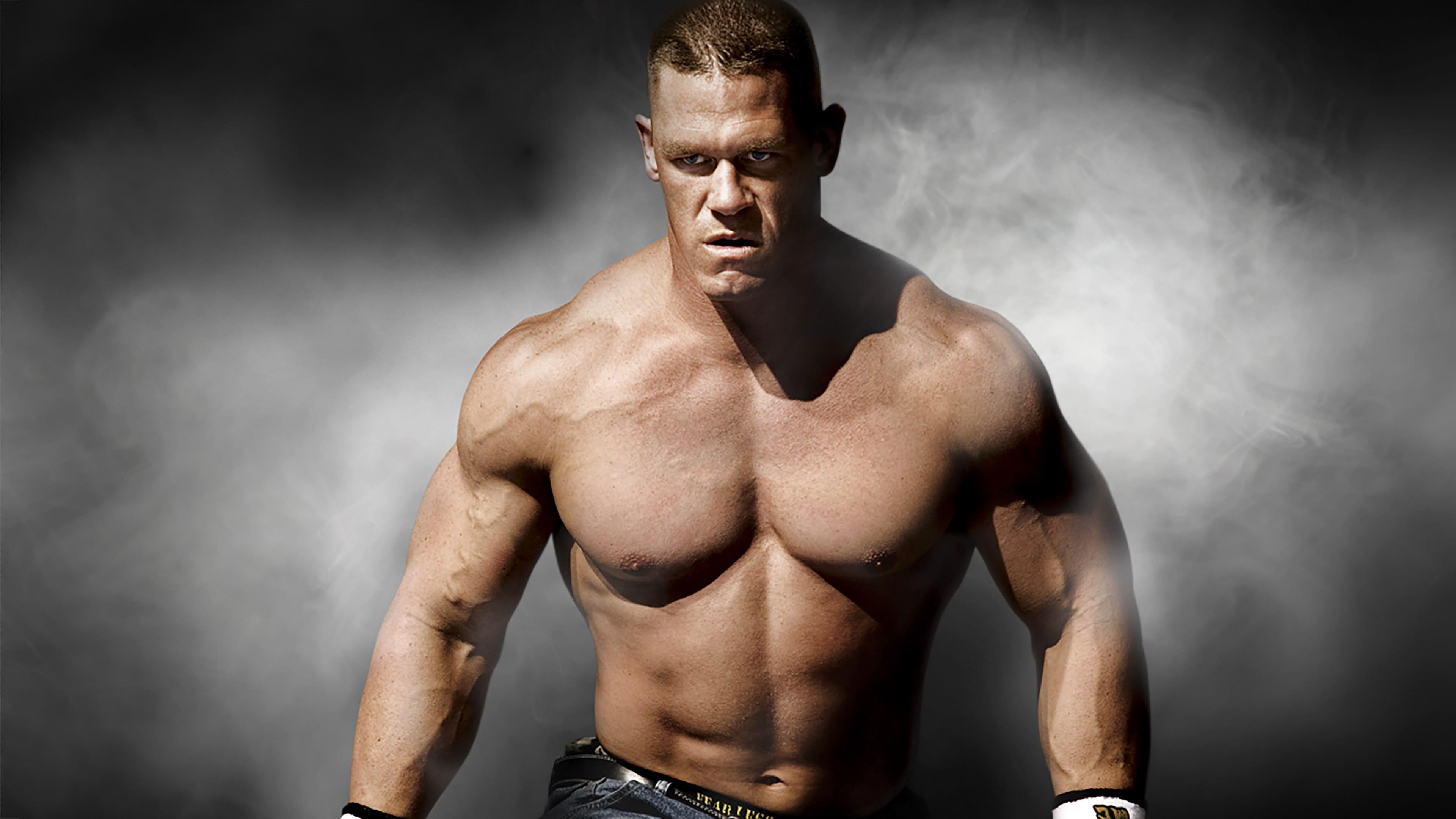 WWE Survivor Series 2008 2008 movie scene
