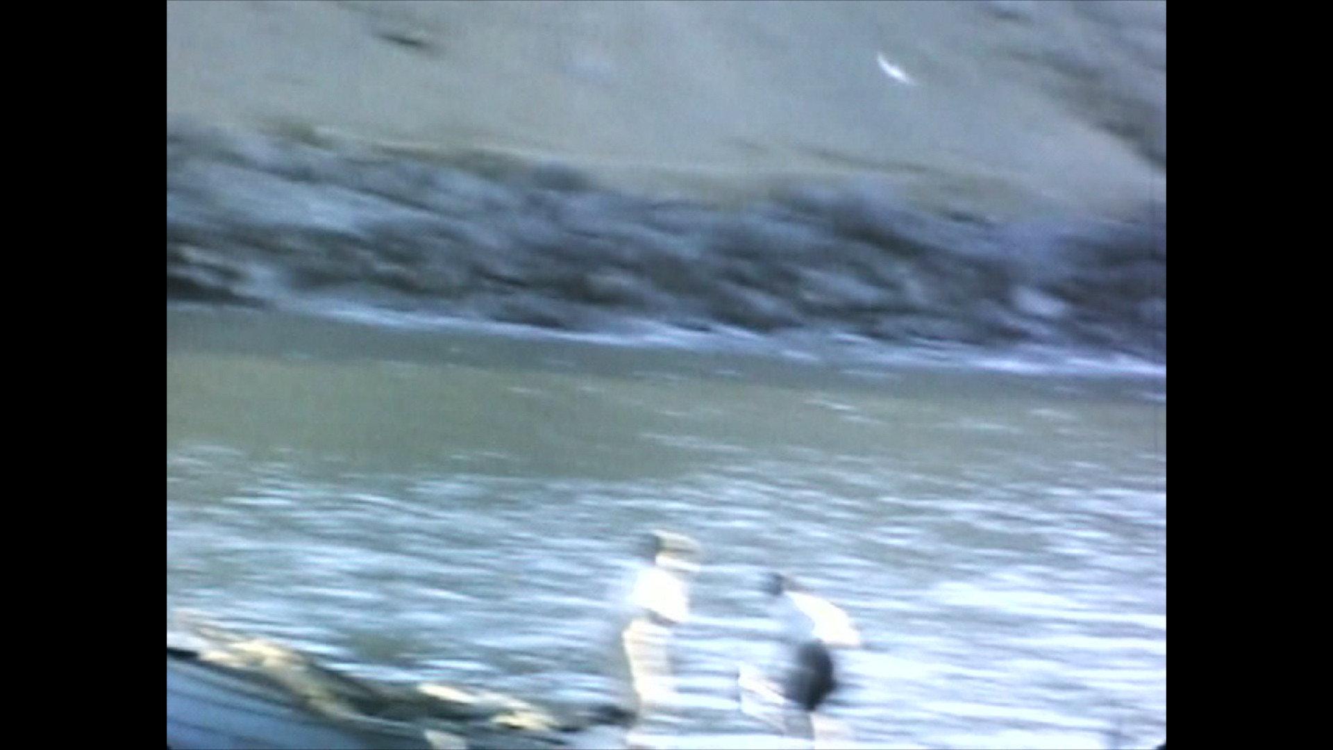 Peru is a place to die 2026 movie scene